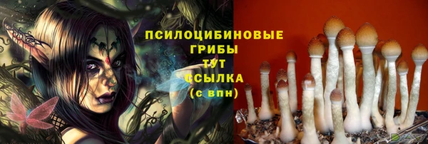 первитин Краснотурьинск