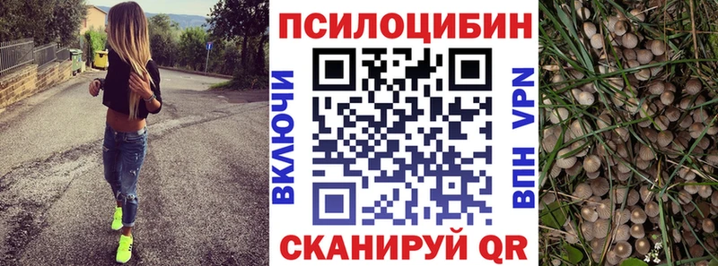 Галлюциногенные грибы GOLDEN TEACHER  Купить закладки  Ворсма 